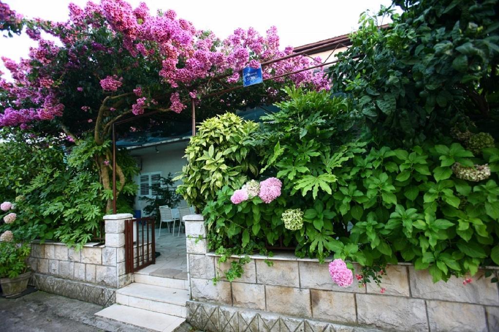 Apartments Indira Lovište Pokój zdjęcie