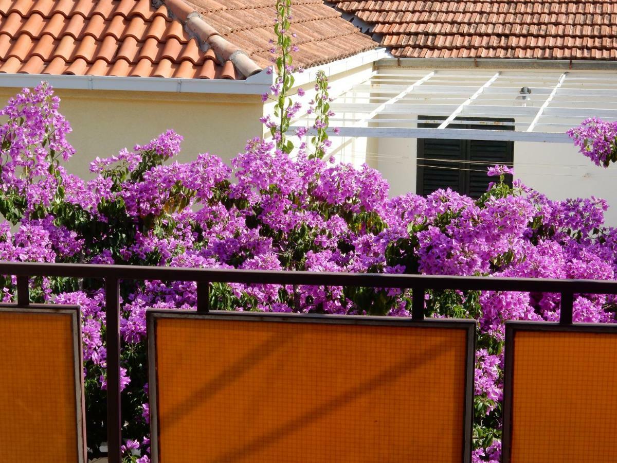 Apartments Indira Lovište Zewnętrze zdjęcie